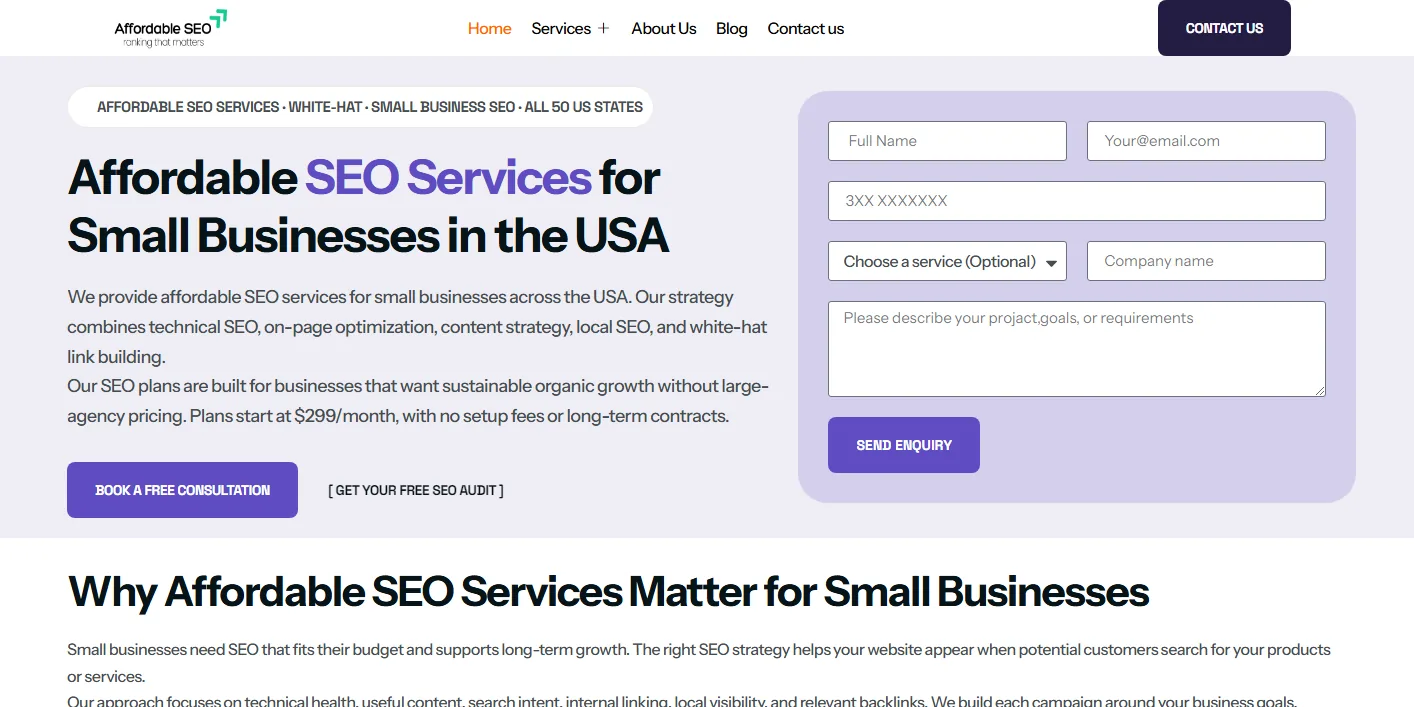 theaffordableseoservices.com homepage: Affordable SEO Services for Small Businesses in the USA, plans start at $299 a month, with an enquiry form beside the headline